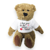 'I love you to the Moon & back' Teddy Bear